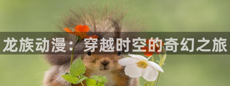 香蕉成熟时2在线看：龙族动漫：穿越时空的奇幻之旅配图
