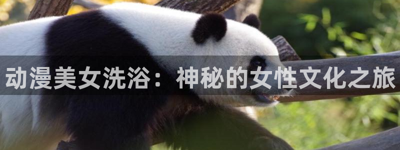 记得香蕉成熟时完整版:动漫美女洗浴:神秘的女性文化之旅配图