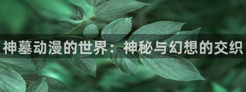 好看站香蕉成熟时:神墓动漫的世界:神秘与幻想的交织配图