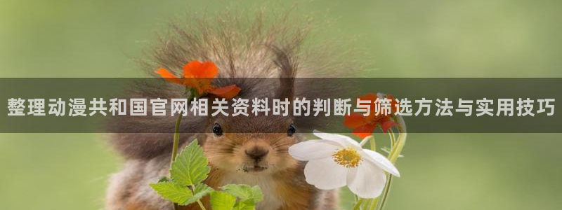 记得香蕉成熟时 电影:整理动漫共和国官网相关资料时的判断与筛选方法与实用技巧配图