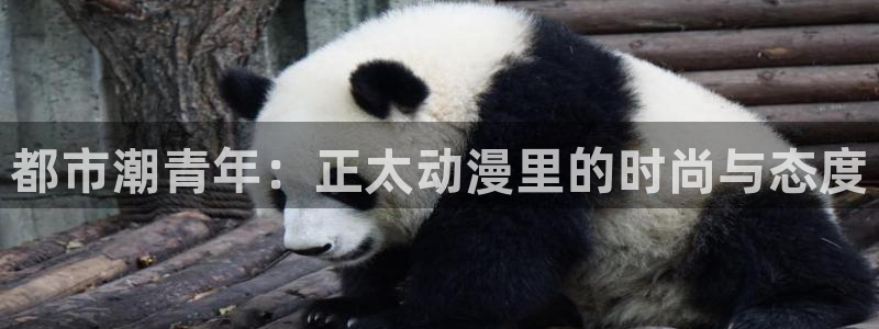 记得香蕉成熟时在线观看:都市潮青年:正太动漫里的时尚与态度配图