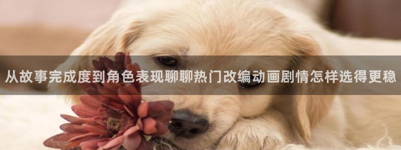 香蕉成熟时在:从故事完成度到角色表现聊聊热门改编动画剧情怎样选得更稳配图